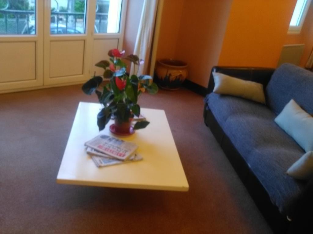 Hotel Du Parc Salies-du-Salat Eksteriør bilde